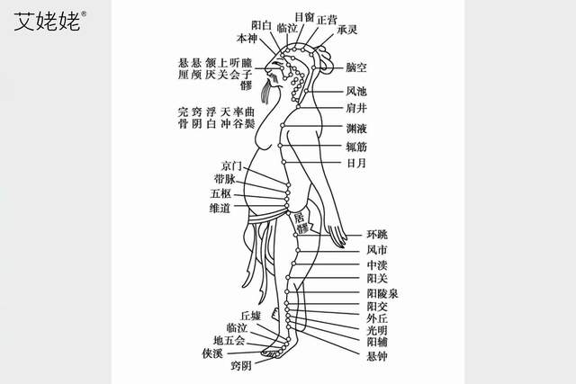 三伏敲胆经