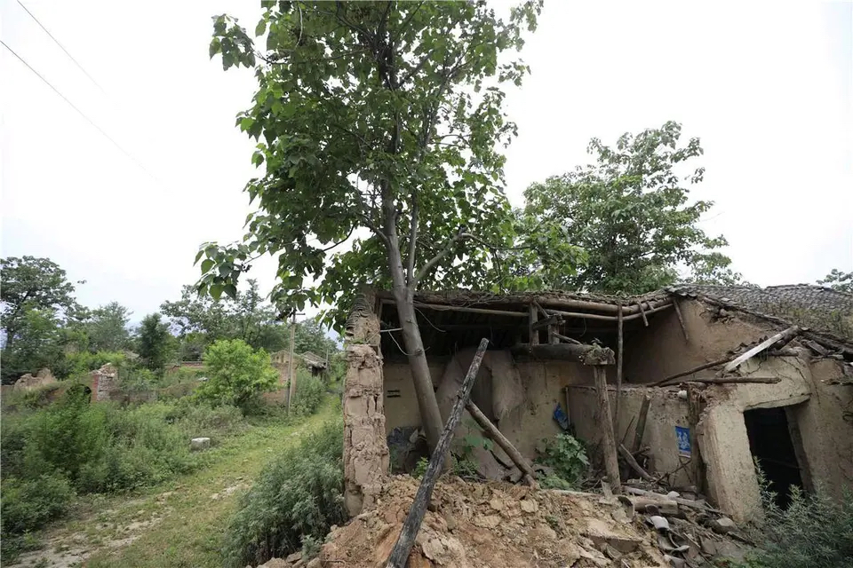 大家还记得"女儿死后被亲生母亲刨坟的小苏丽"吗