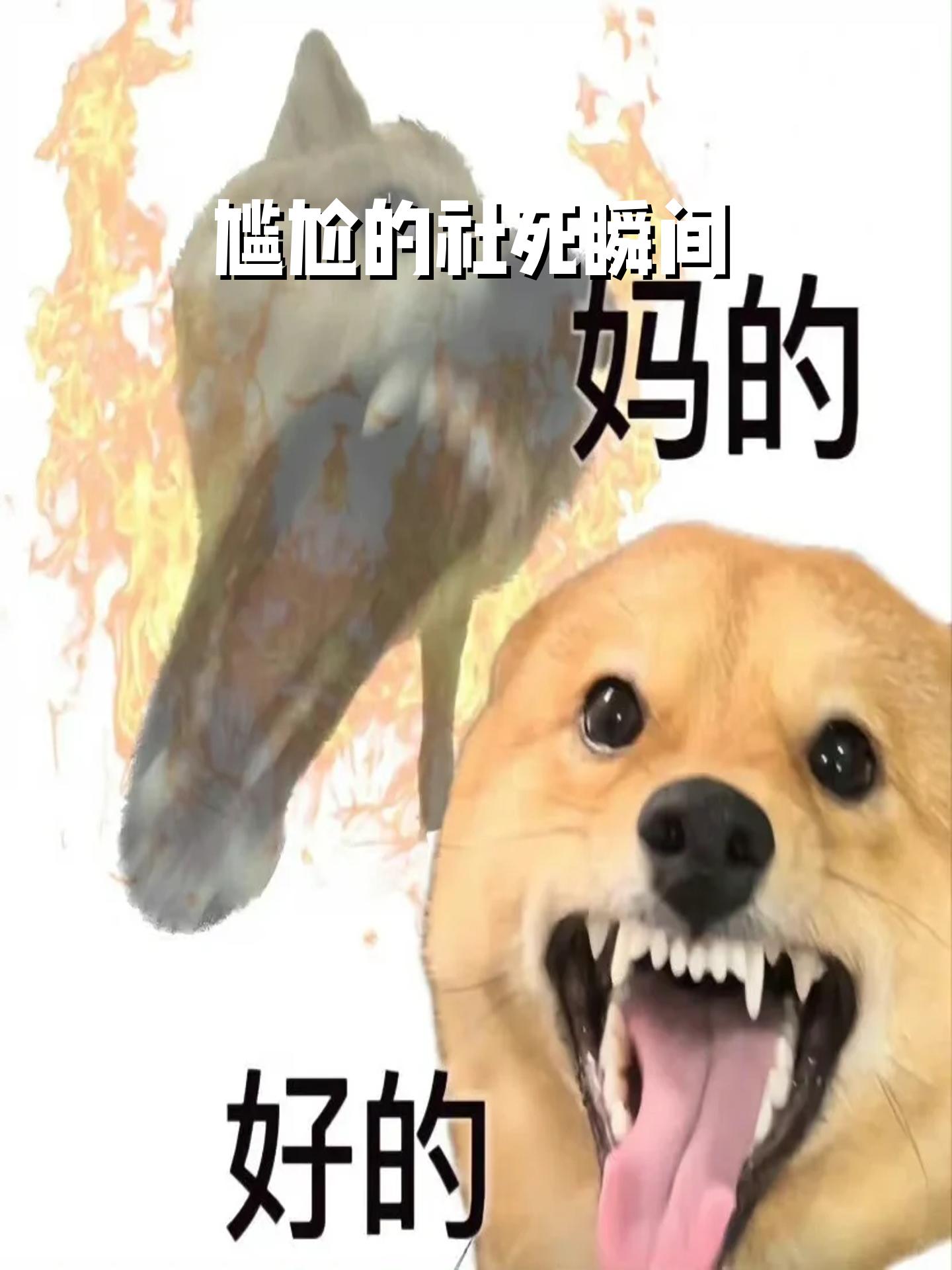 尴尬的社死瞬间 满上,满上,都给满上哈哈哈哈