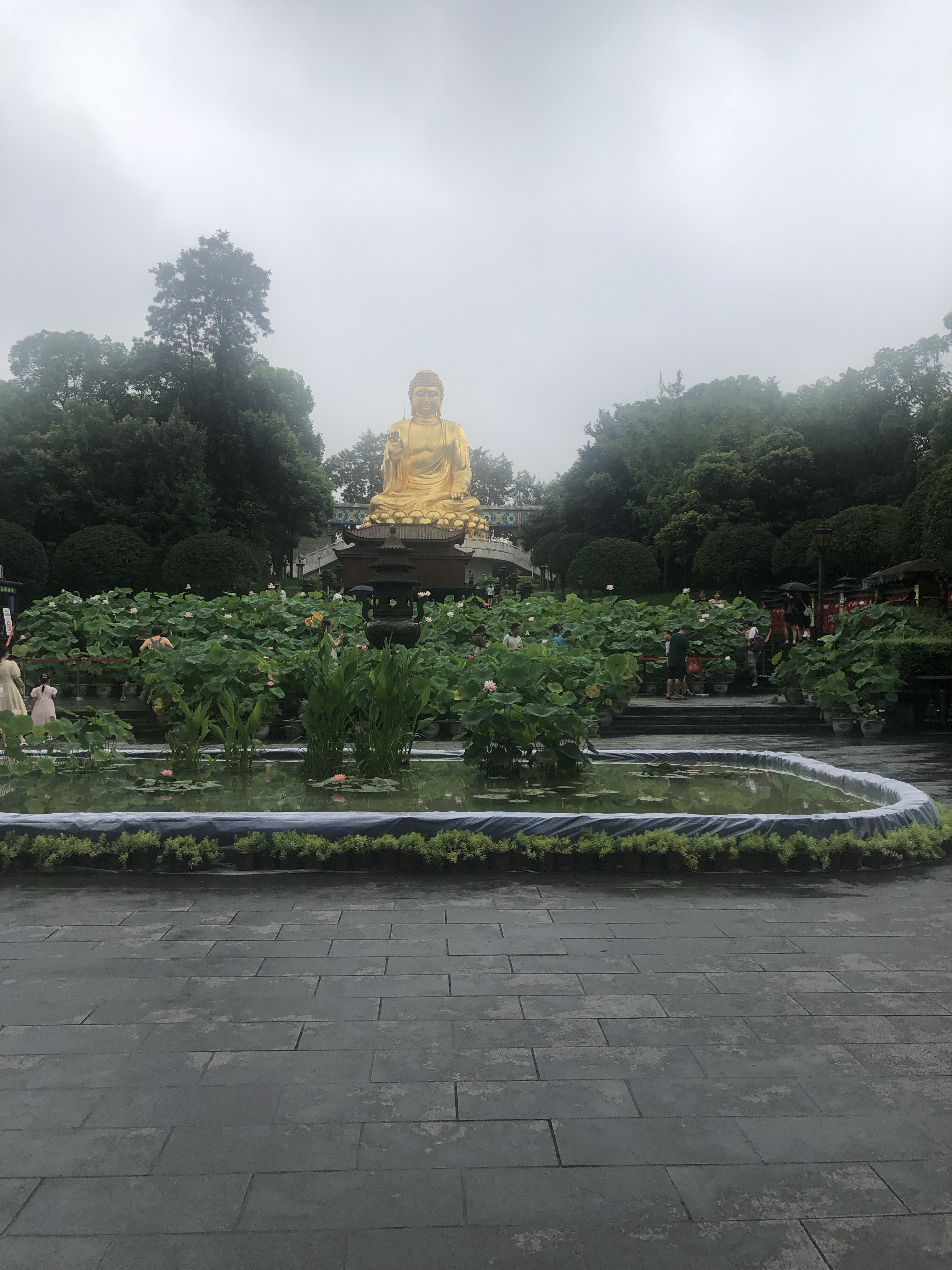 但其实是中山陵园牌坊前喷泉开放图片大全日月潭三光寺陈三王娘拍摄地