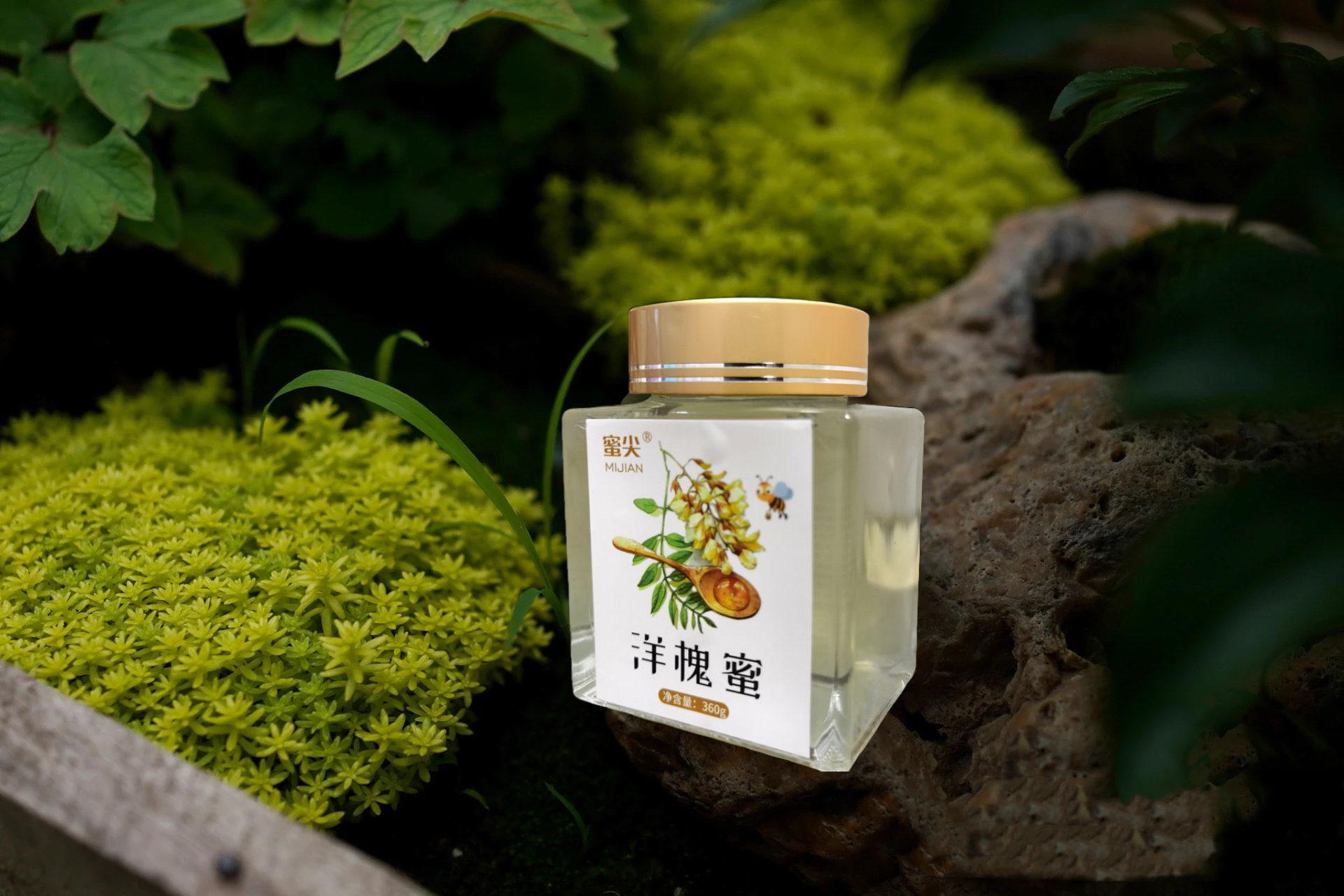 洋槐蜂蜜的功效(洋槐蜂蜜的功效禁忌) 洋槐蜂蜜的功效(洋槐蜂蜜的功效禁忌)