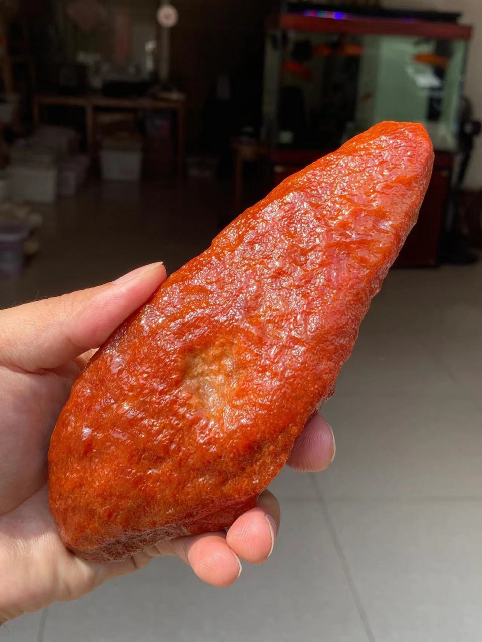 点击头像看直播# 一块红翡原石,犹如自然的瑰宝,其独特的魅力可以