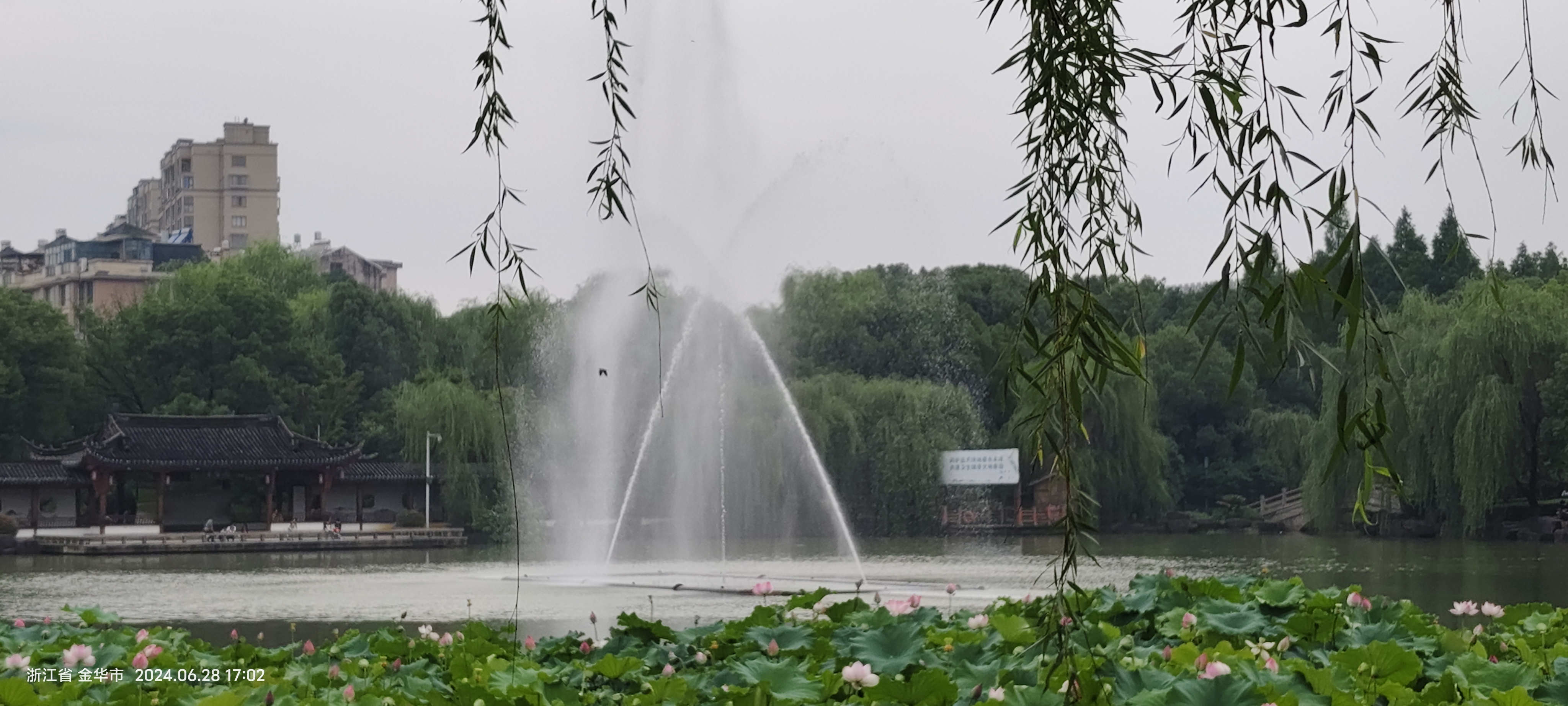 永康市香樟公园