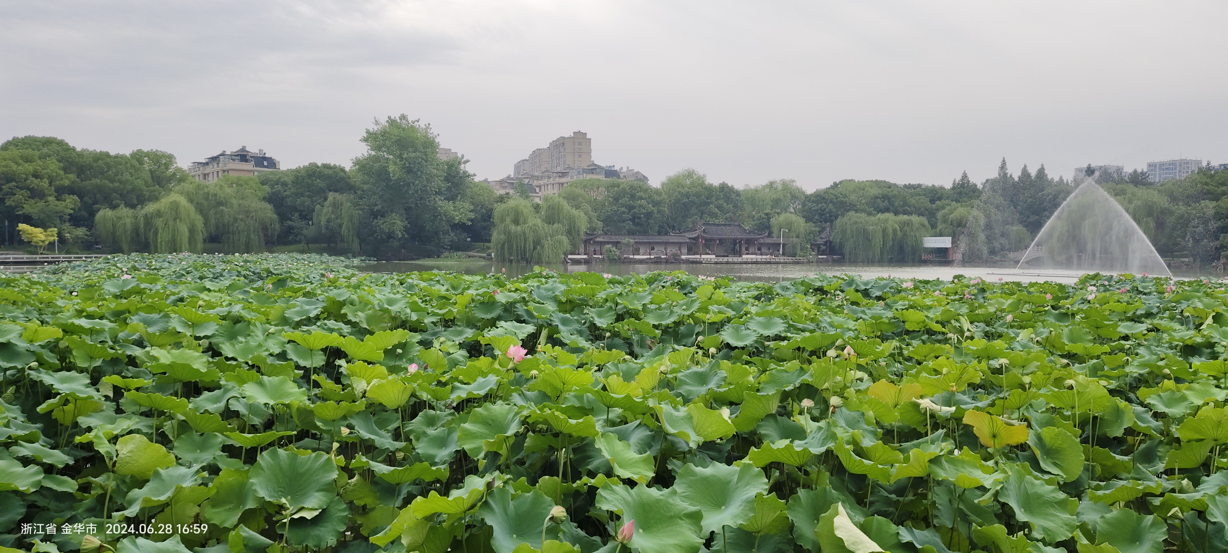 永康市香樟公园