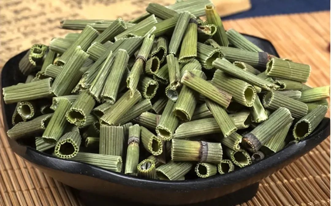 带你识别中药材木贼