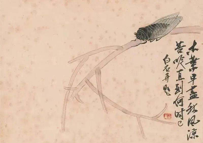 夏日炎炎,看齐白石画蝉