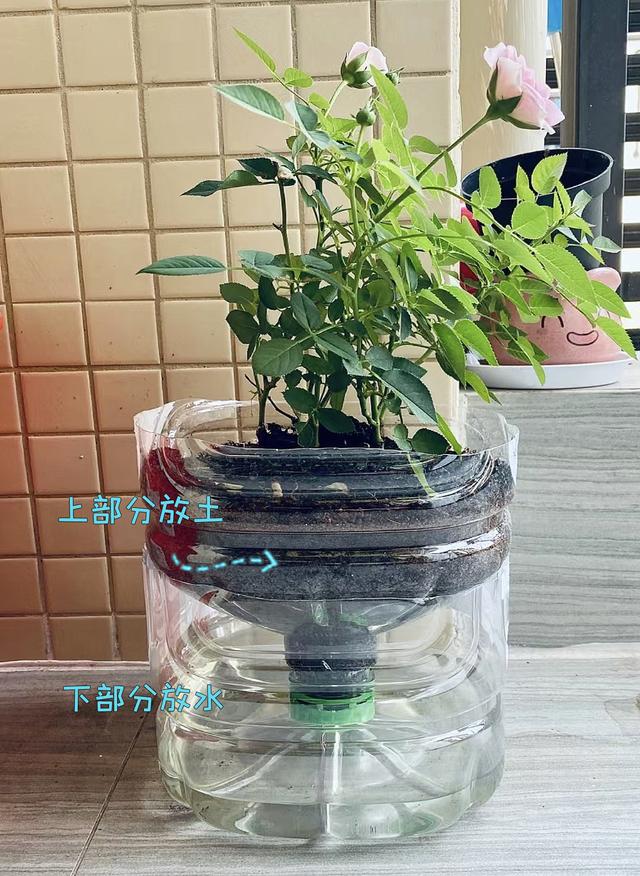 怎么用矿泉水瓶做花盆图片