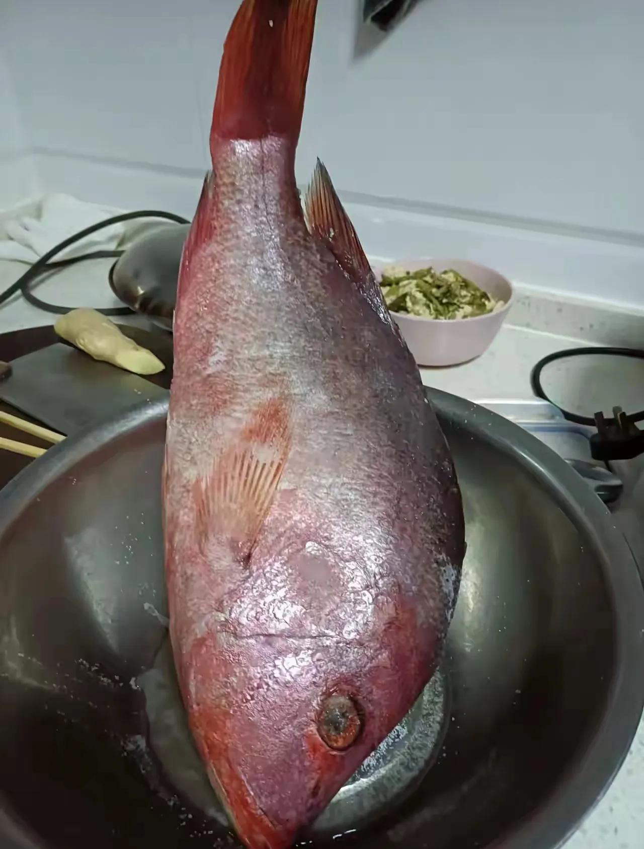 昨天我领居送给我一条鱼,这鱼全身稍微有点红,我就是不知道什么品种