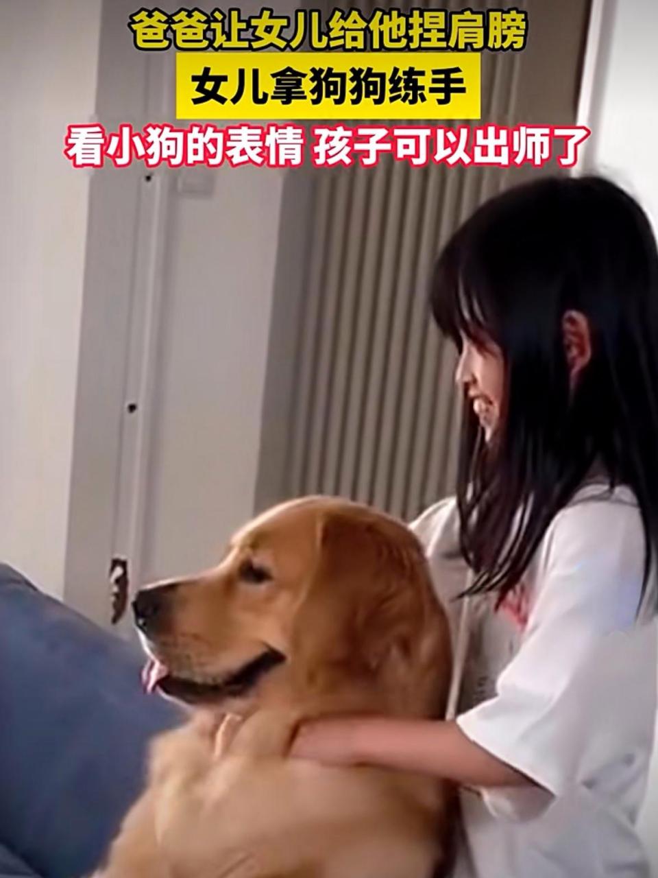 小孩姐拿狗狗练习捏肩膀. 网友:看小狗很享受的表情,孩子可以出师了