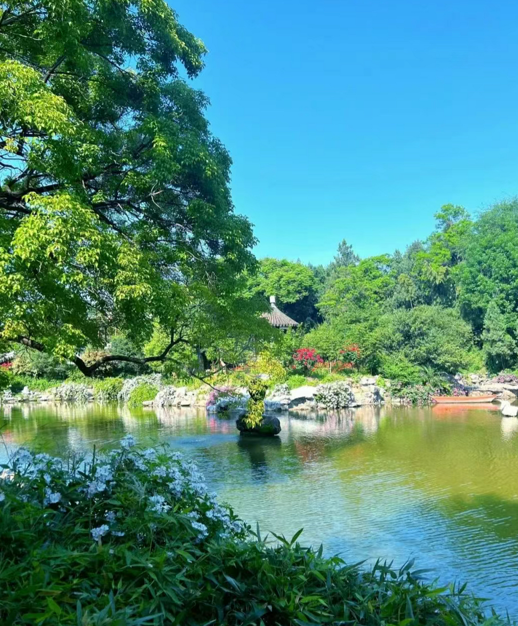 花洲书院游记图片