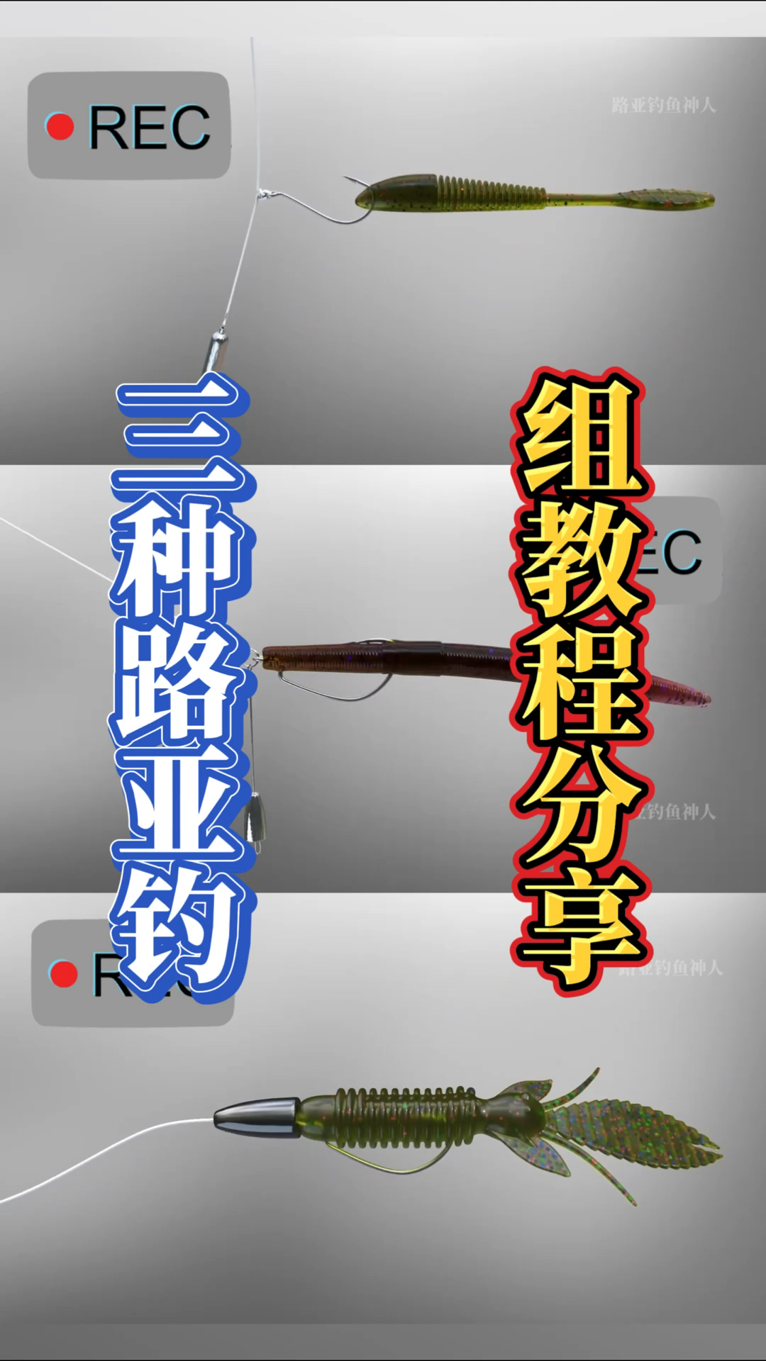 三种路亚钓组教程分享给大家学习,喜欢玩路亚的朋友可以收藏起来