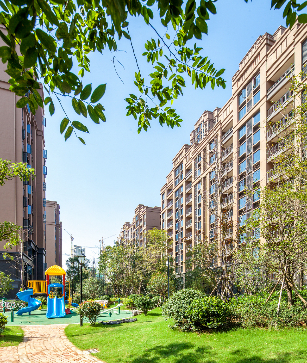 邻居和老婆离婚不到半年就再婚了,他现在的老婆和前