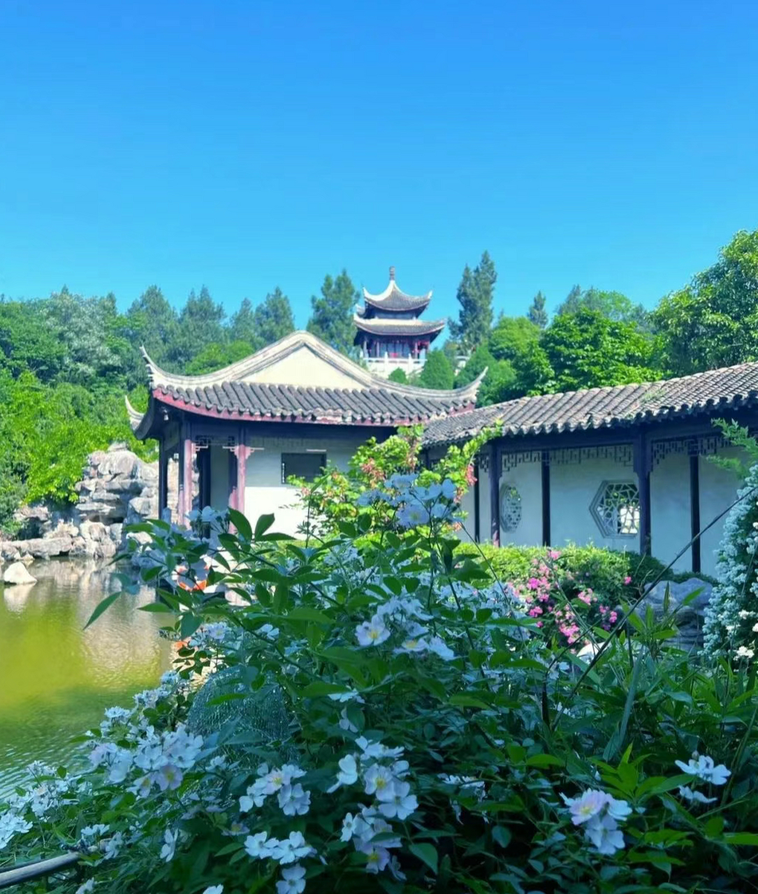 在河南南阳,有一座低调却魅力无限的小城——邓州,而邓州的花洲试院