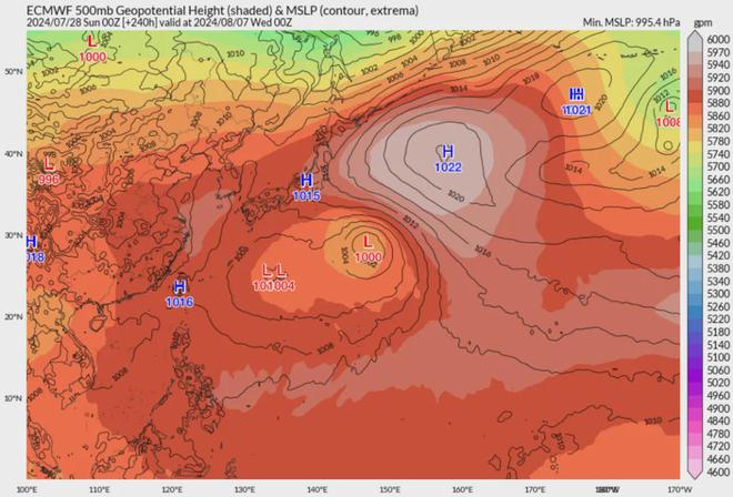 台风胚胎图片