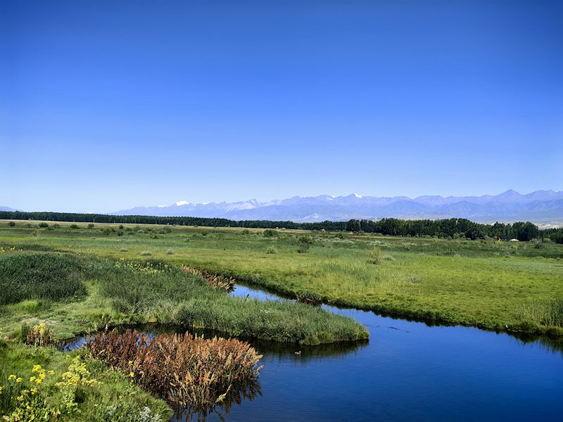 温泉博尔塔拉河国家湿地公园:自然的诗意画卷