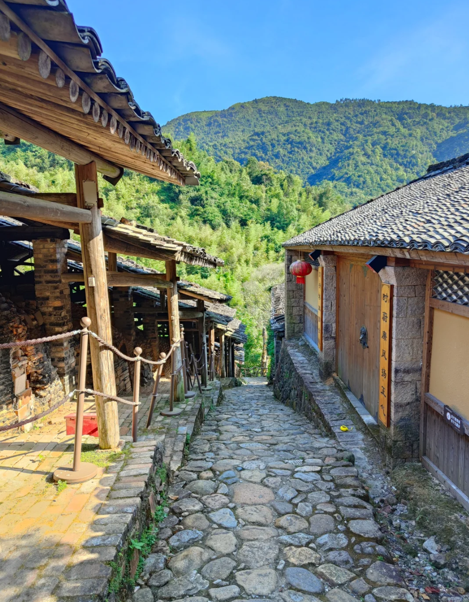 衢州碗窑村一日游图片