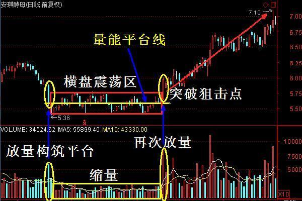 股票分红就是坑图片