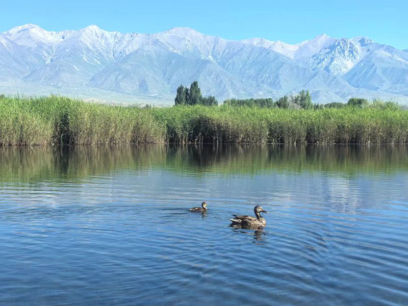 温泉博尔塔拉河国家湿地公园:自然的诗意画卷