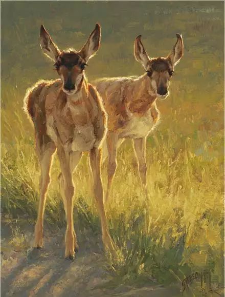 美国写实画家格雷格的野生动物绘画作品