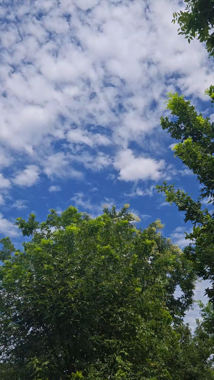 夏日午后,雨后初晴,沃野关中,云淡风轻,有一种来自远古的呼唤
