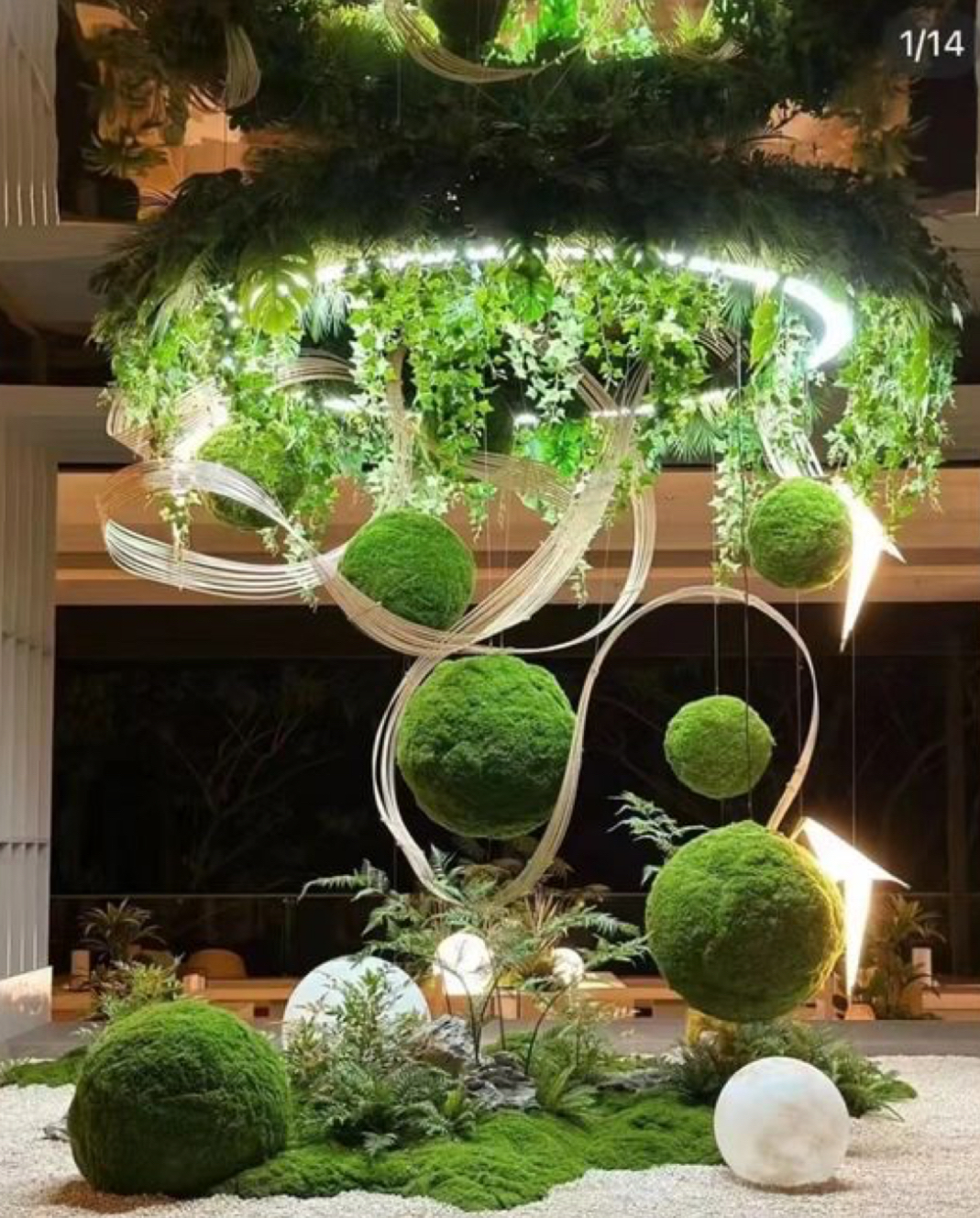 室内花园的意外收获:在一个家庭的客厅里,设计师设立了一个小型室内