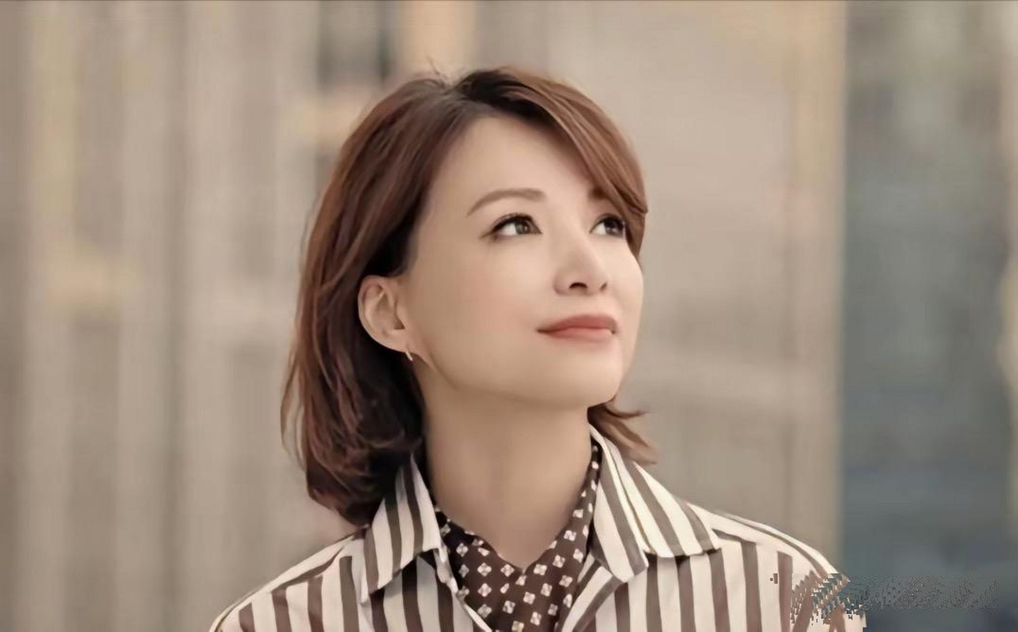 董卿这气质真漂亮