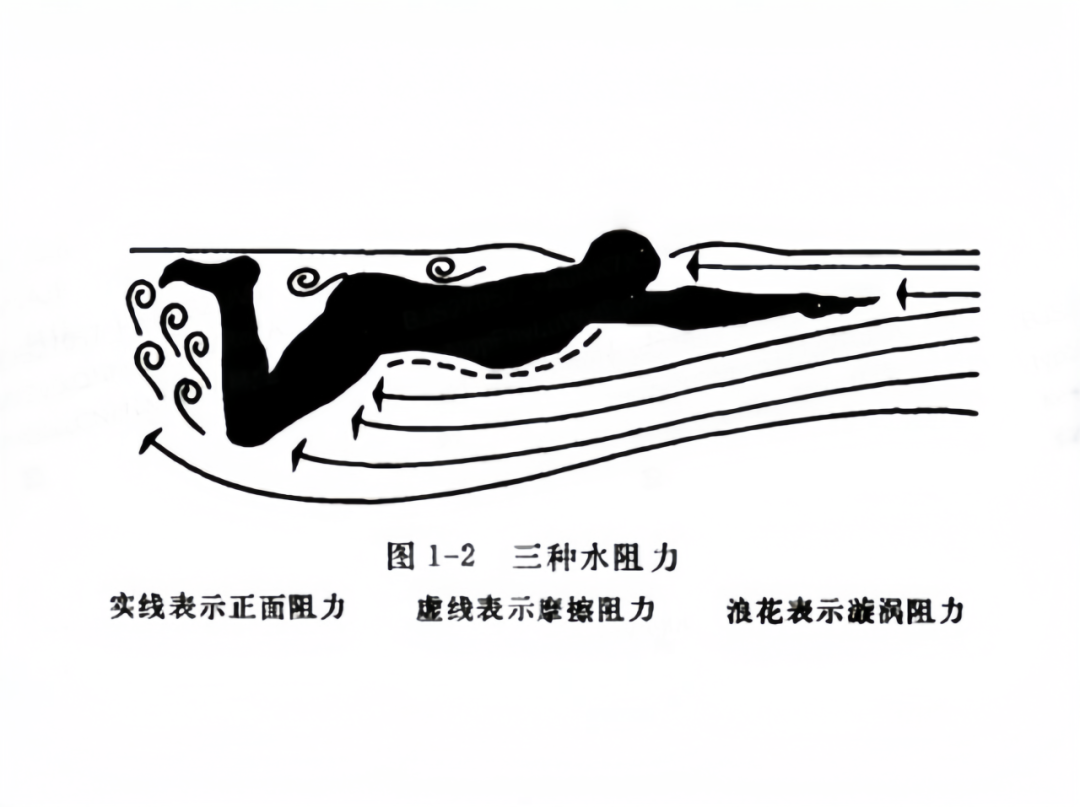奥运会游泳比赛,可以狗刨吗