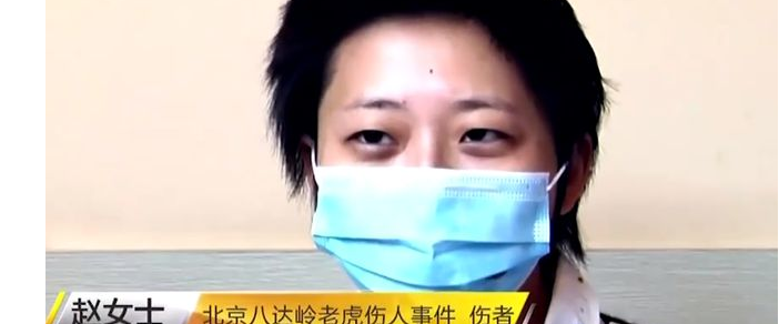 虎口救女反被咬,八达岭老虎咬人案8年后:女儿仍未得到父亲原谅