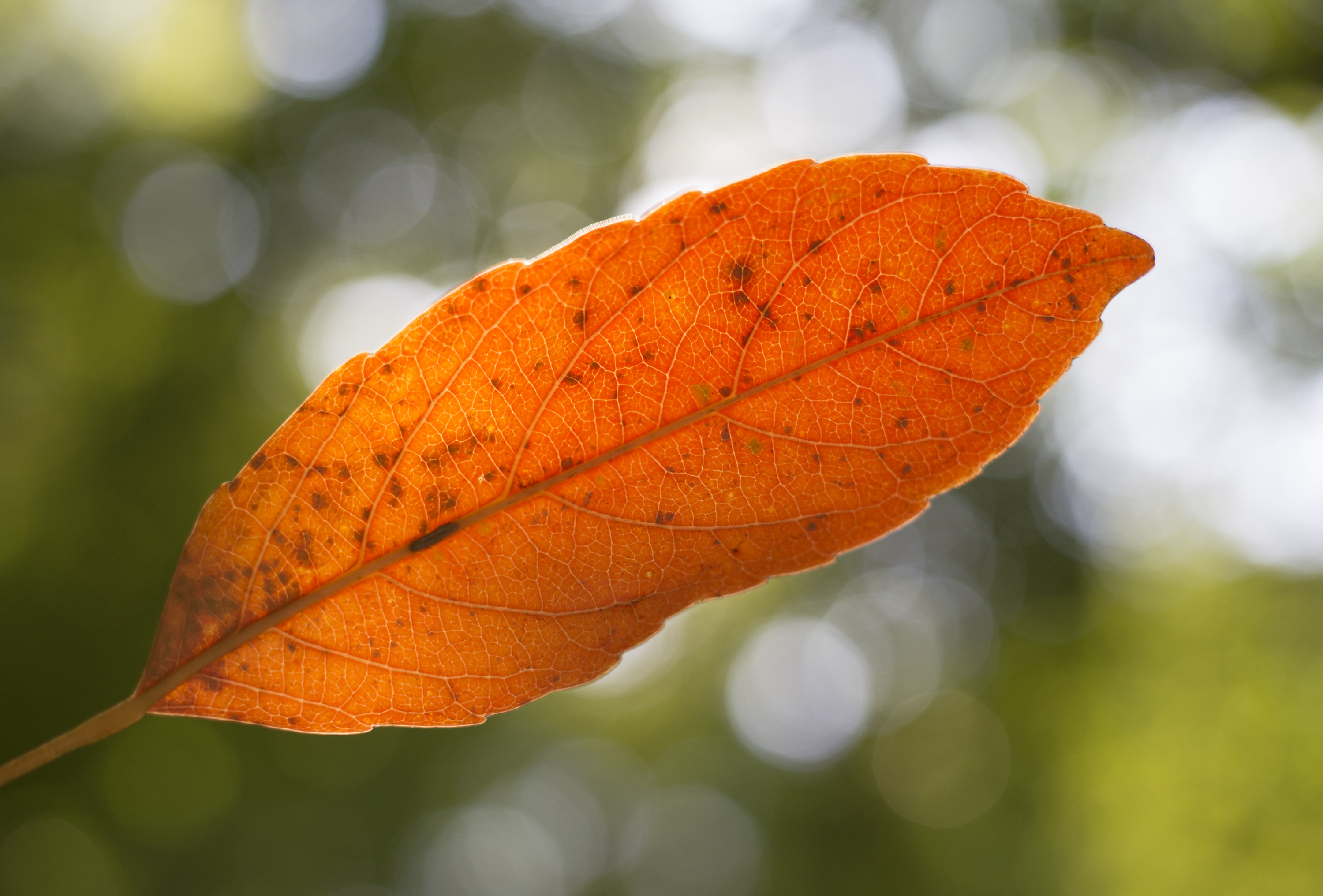 人心!(道破人性,好现实)