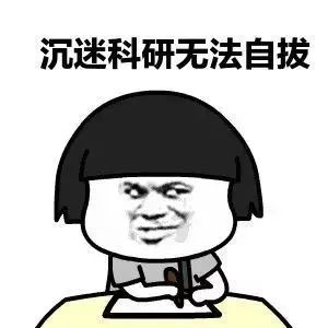 学术党福利:小绿鲸vs靠岸学术,谁能成为你的科研最佳拍档?