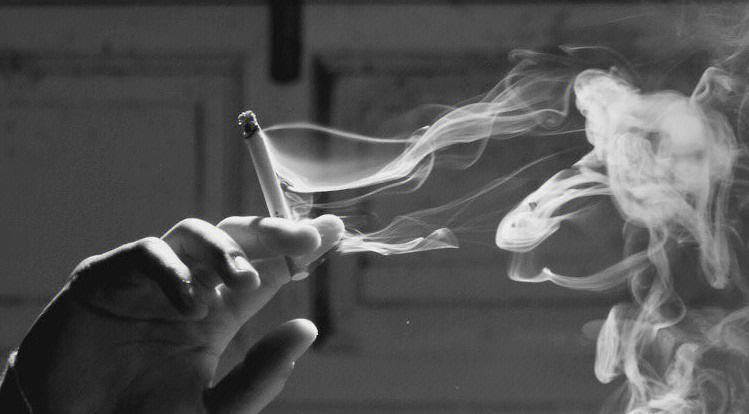 这下可好,抽烟成了长寿秘诀?