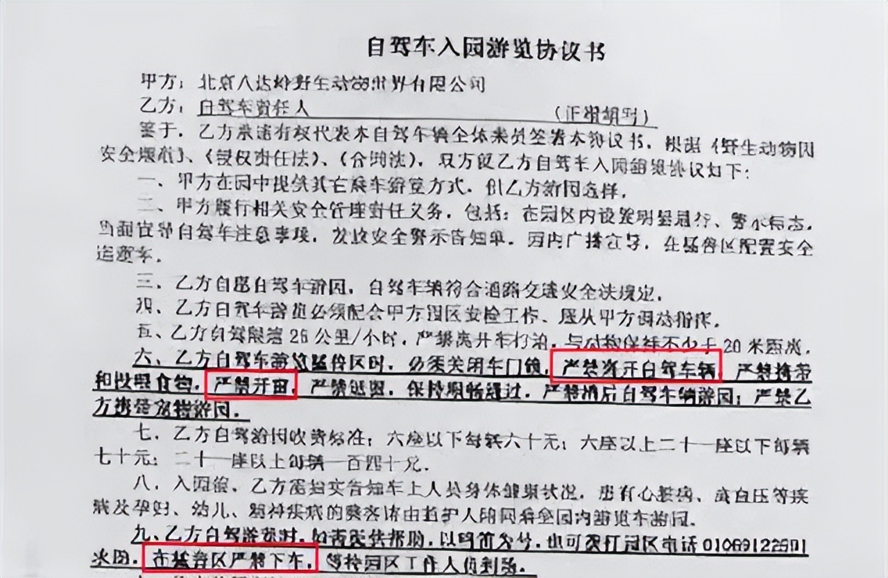 虎口救女反被咬,八达岭老虎咬人案8年后:女儿仍未得到父亲原谅