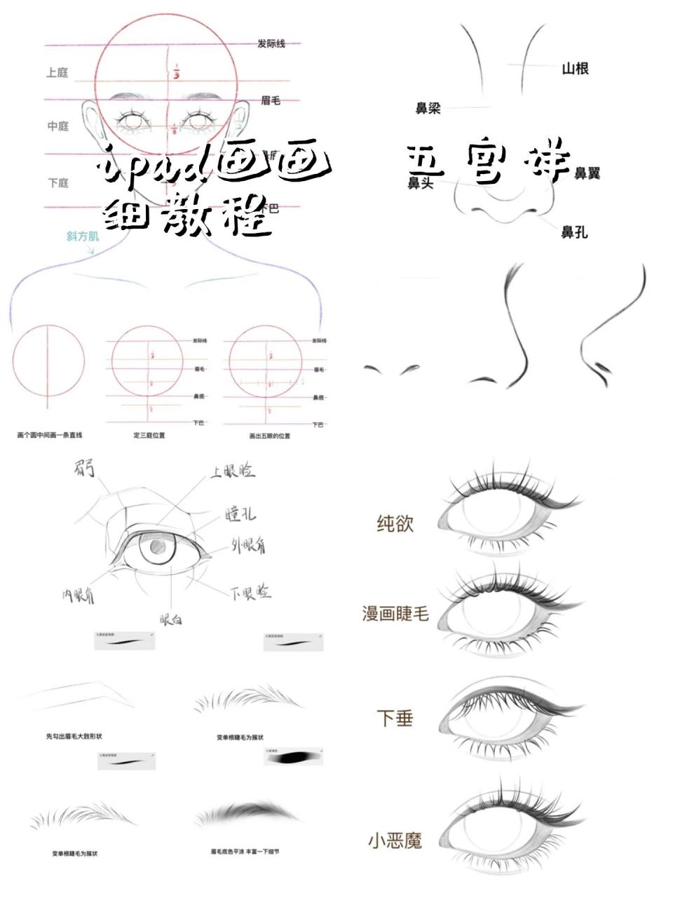 人脸五官的简单画法图图片