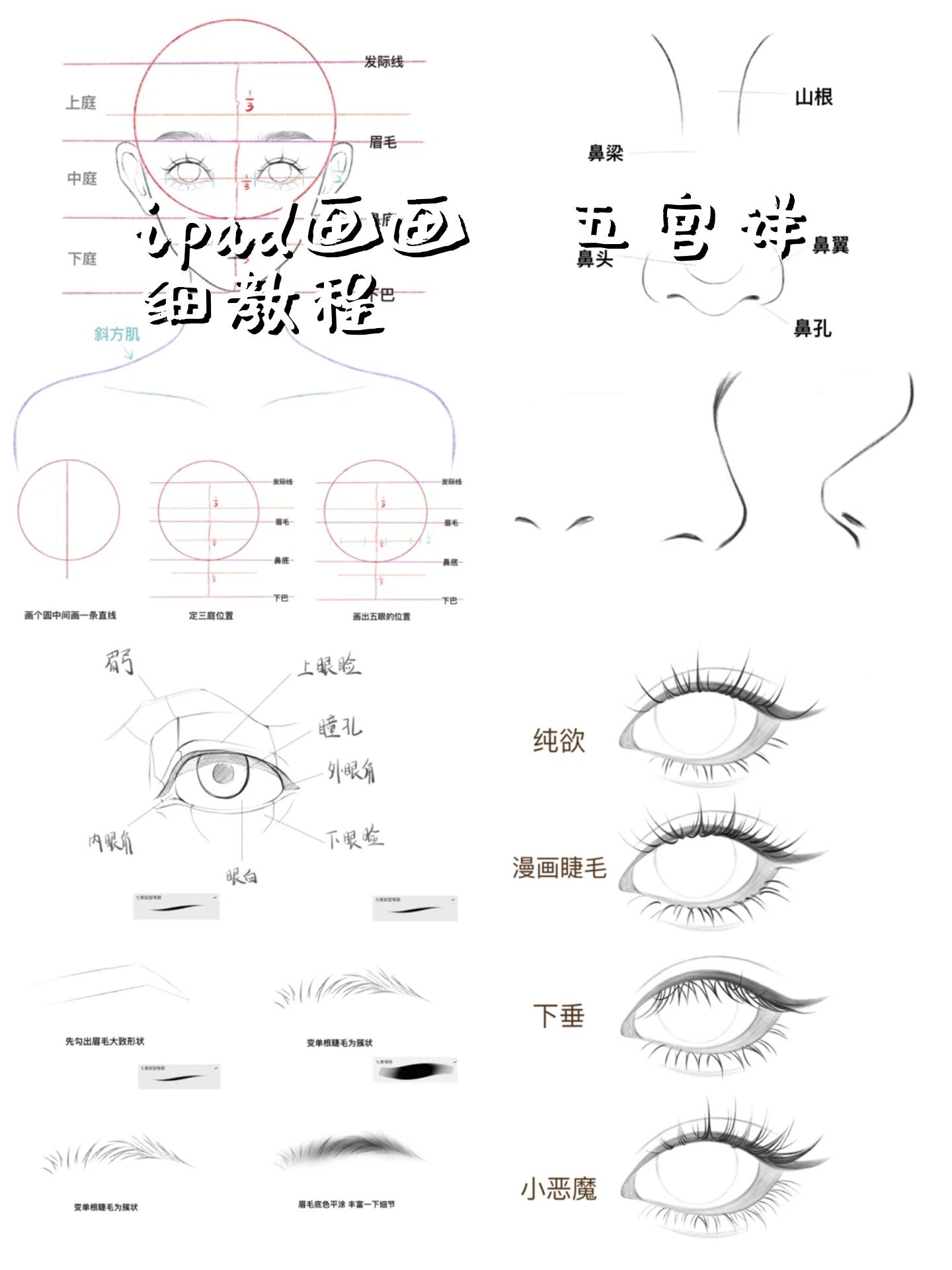 人脸画法教程铅笔画图片