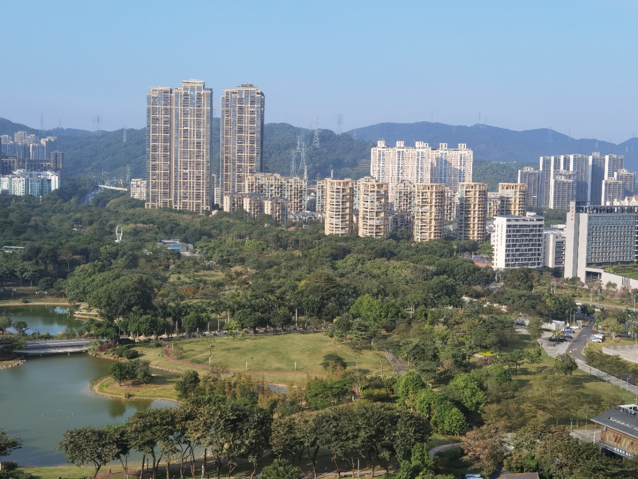 香蜜湖深业中城大平层