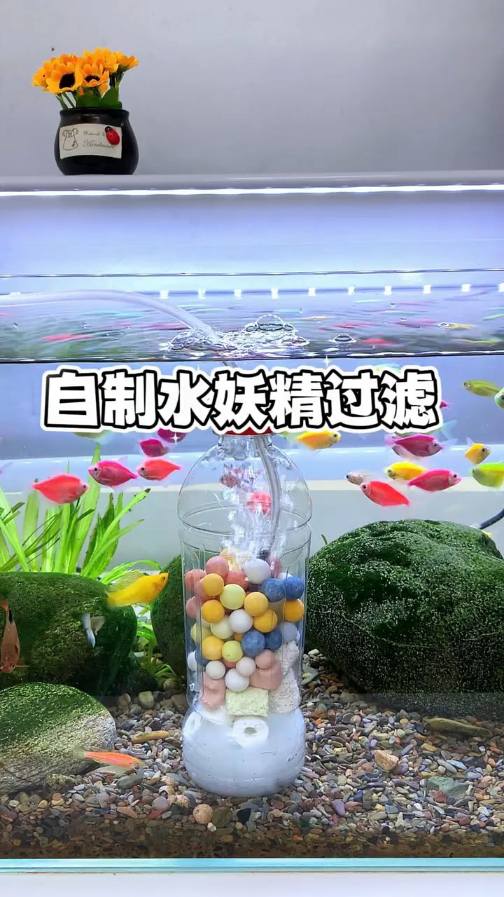 水妖精改造图片