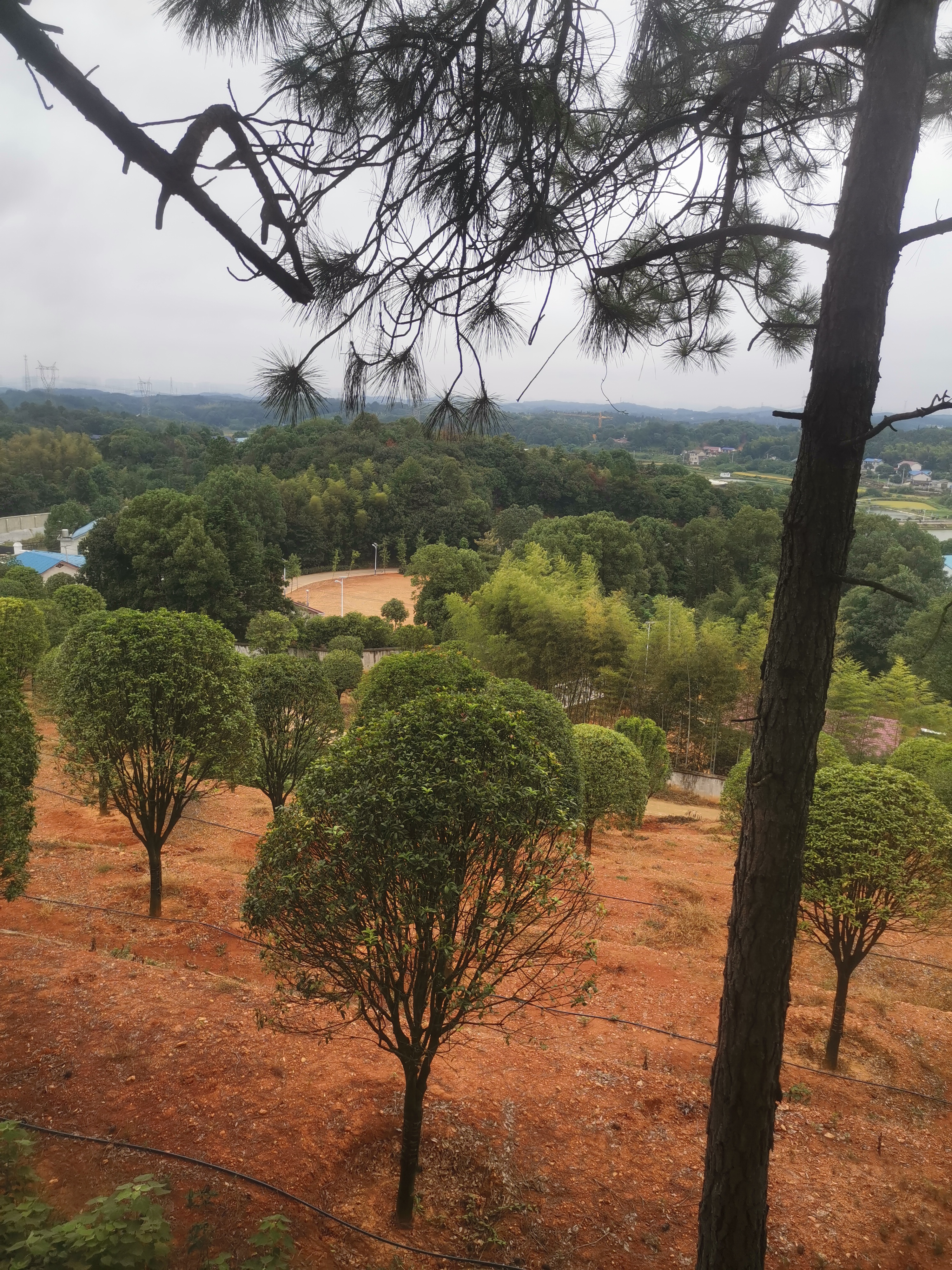 我妈很喜欢在我面前念叨,谁谁谁好,谁谁谁又在城里买房了,谁谁谁又