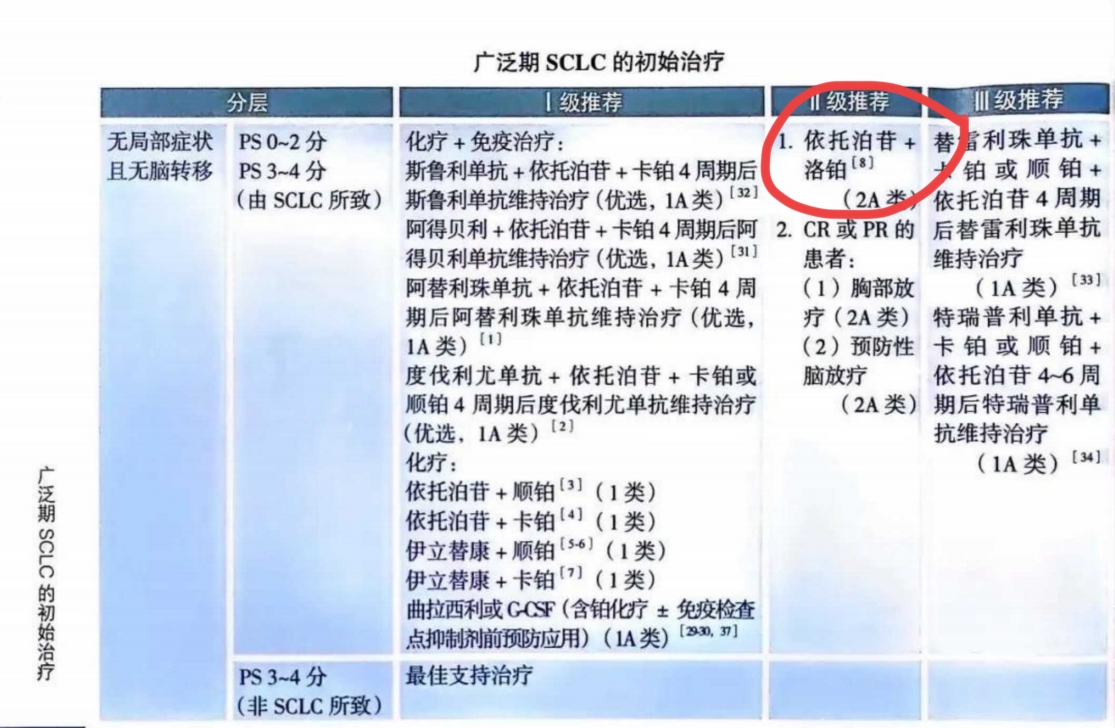刘懿博士说肺癌(八〇四五)小细胞肺癌打的洛铂而不是卡铂和顺铂  2024