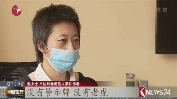 八达岭老虎咬死母亲图片