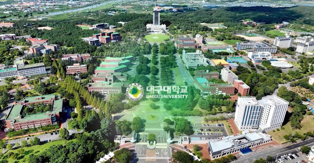 韩国大邱未来大学图片