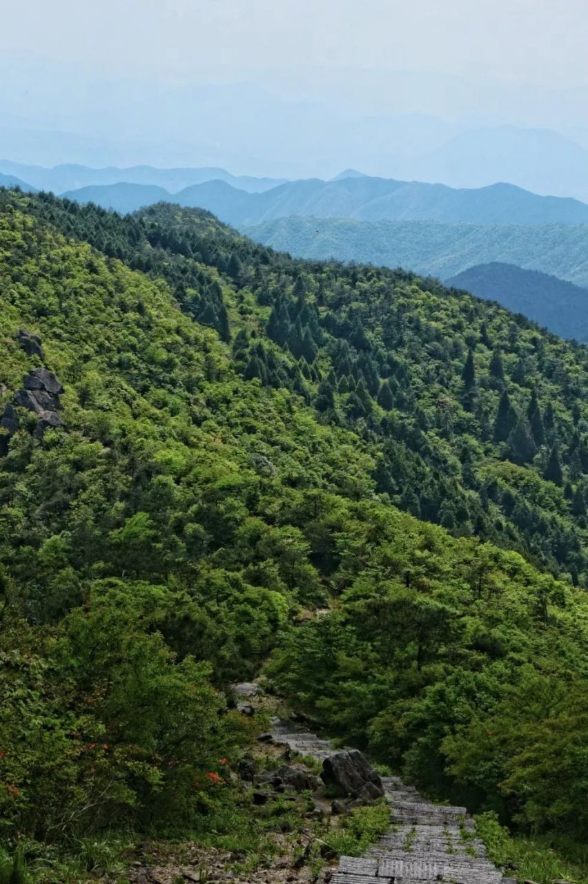 白马山森林公园图片