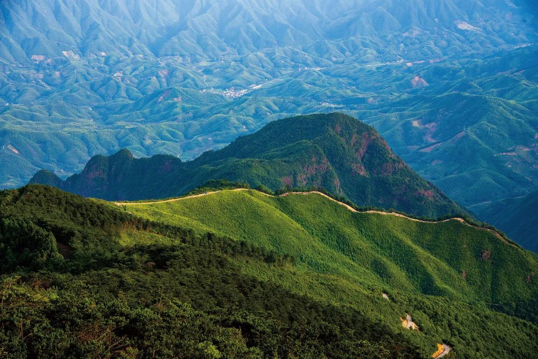 白马山森林公园图片