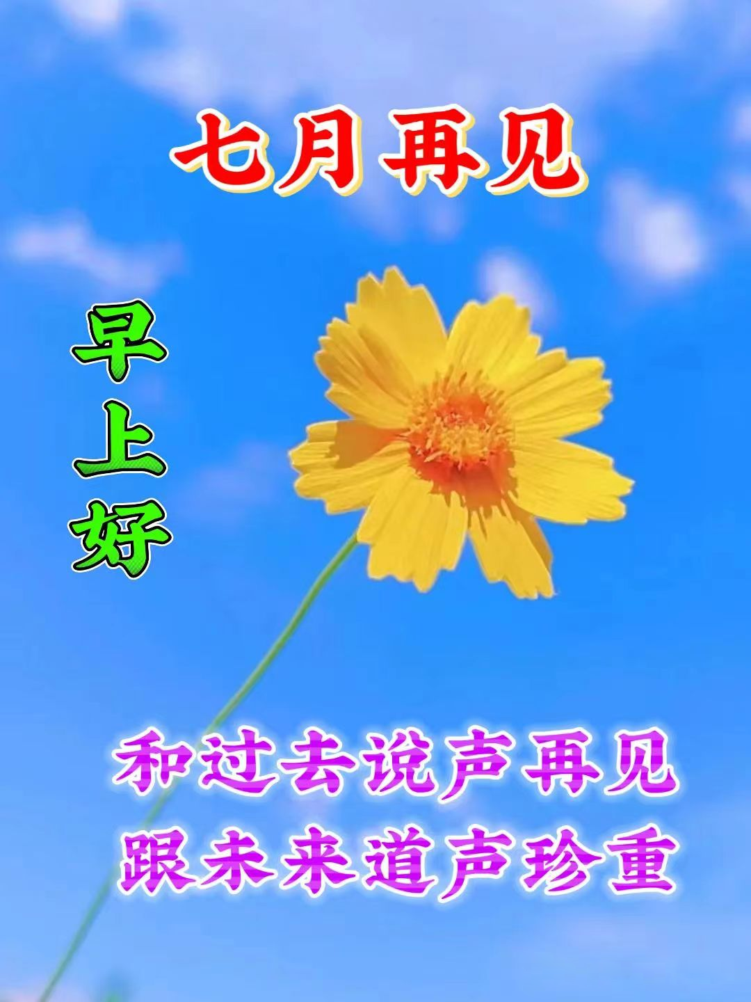 八月你好文案海报,8月发朋友圈的句子带图片