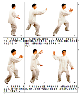 太极24一步一步的教图片