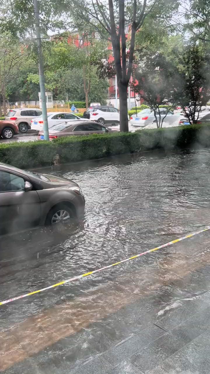 老龙王下雨图片