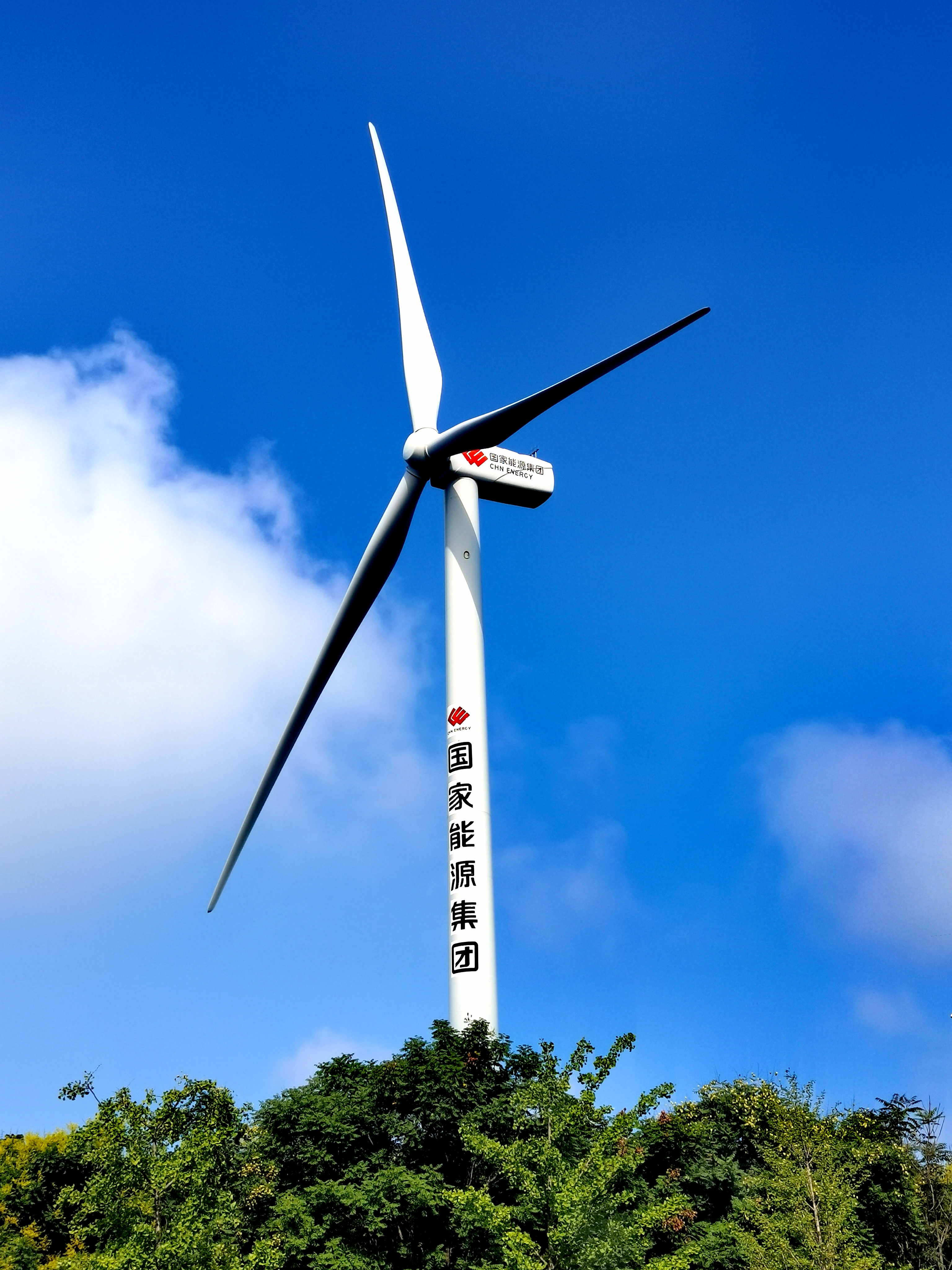 滨水公园里的大风车#风力发电