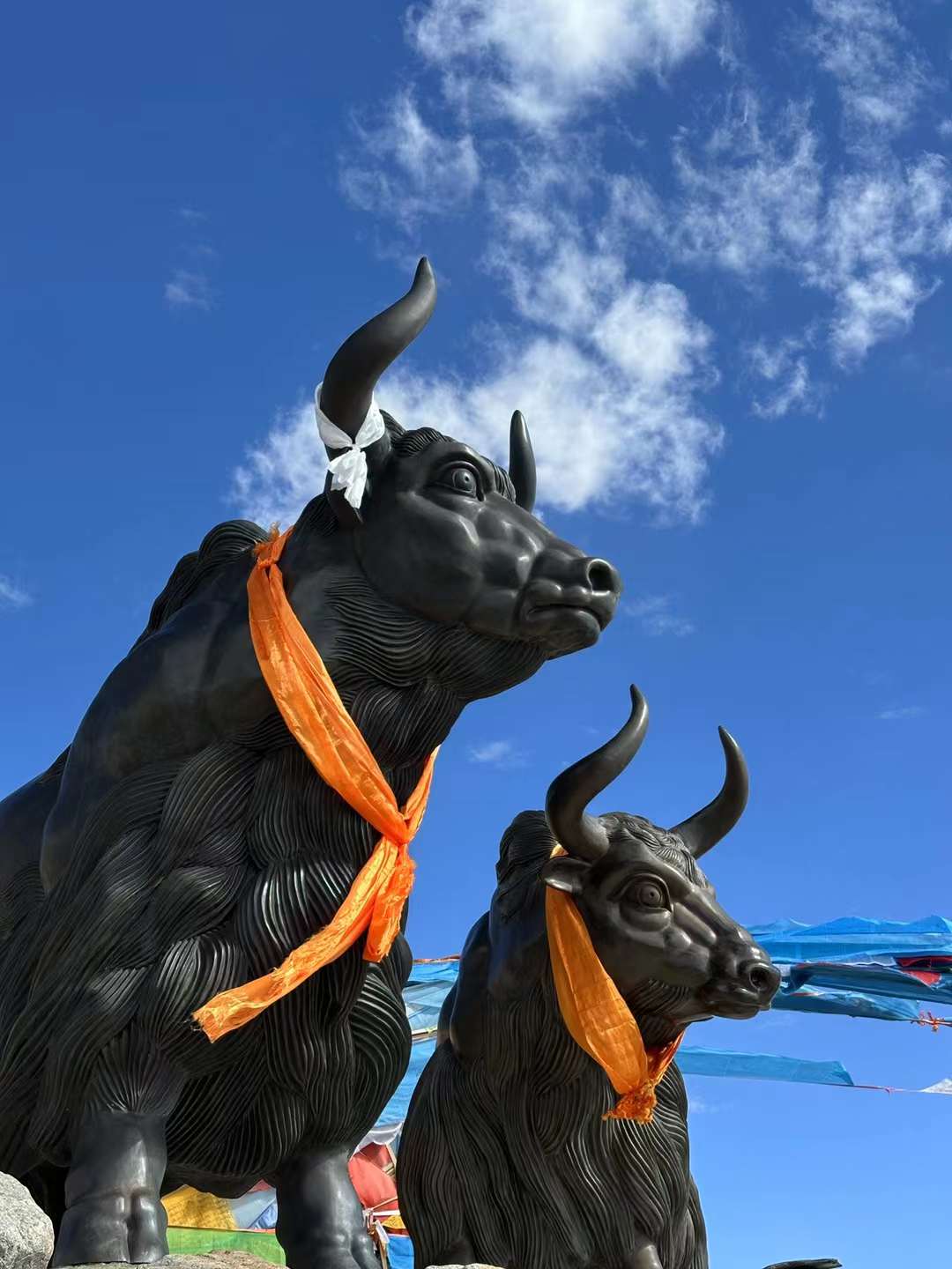 你,经历23天的艰辛终于抵达拉萨;我,在结业演讲上以你为傲