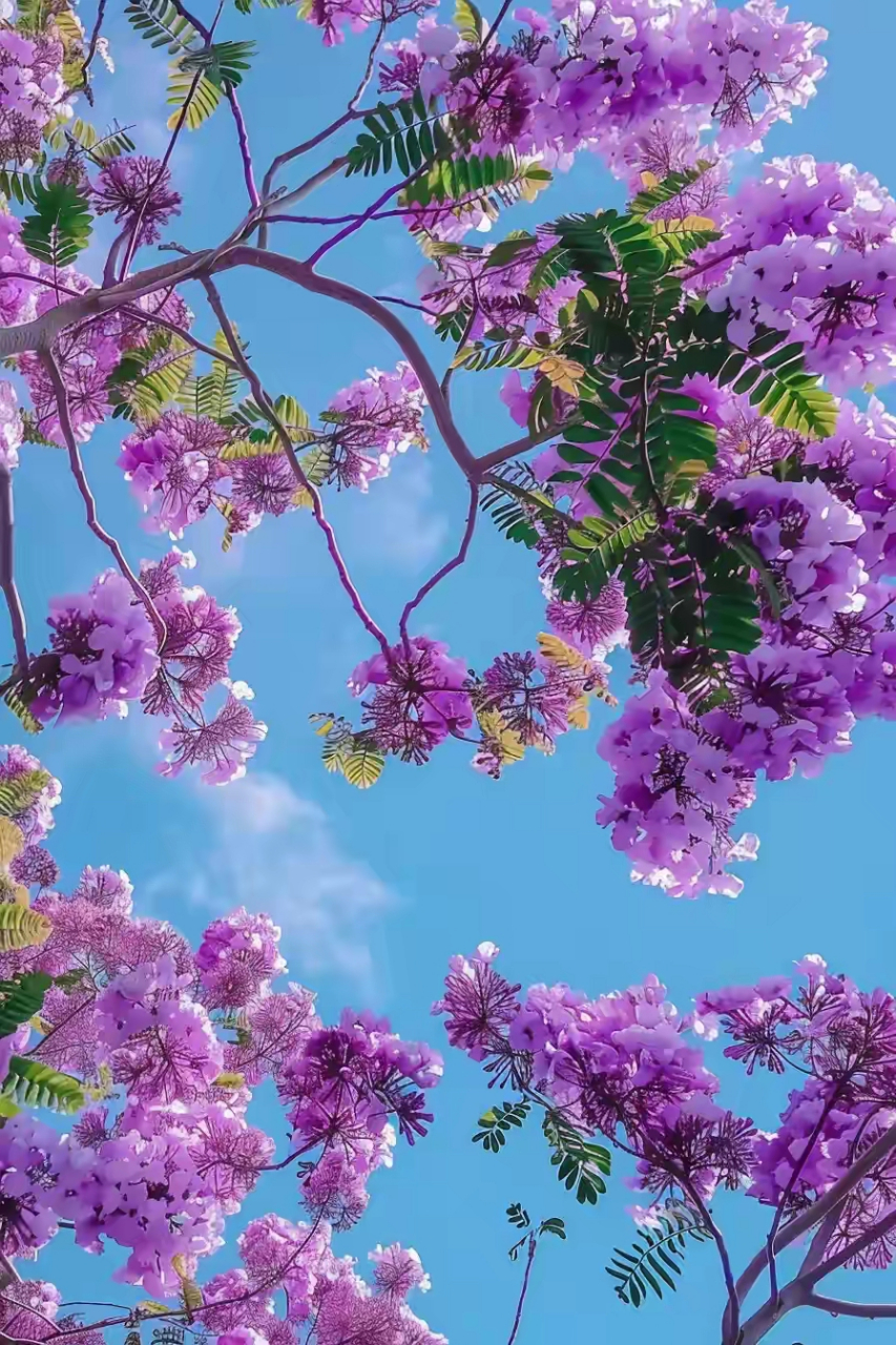 花树风景图片大全图片