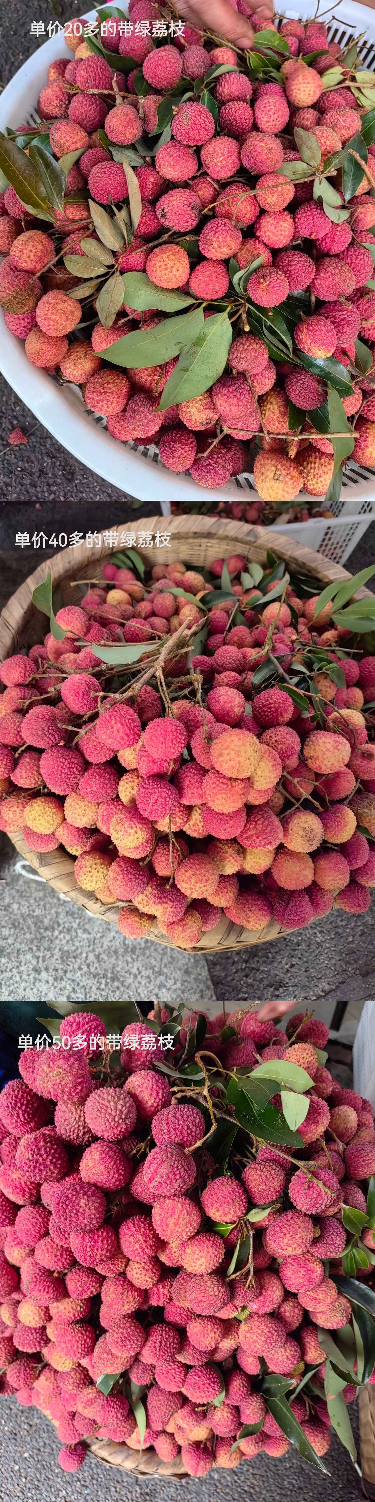 可以说,这段时间的带绿荔枝水涨船高.