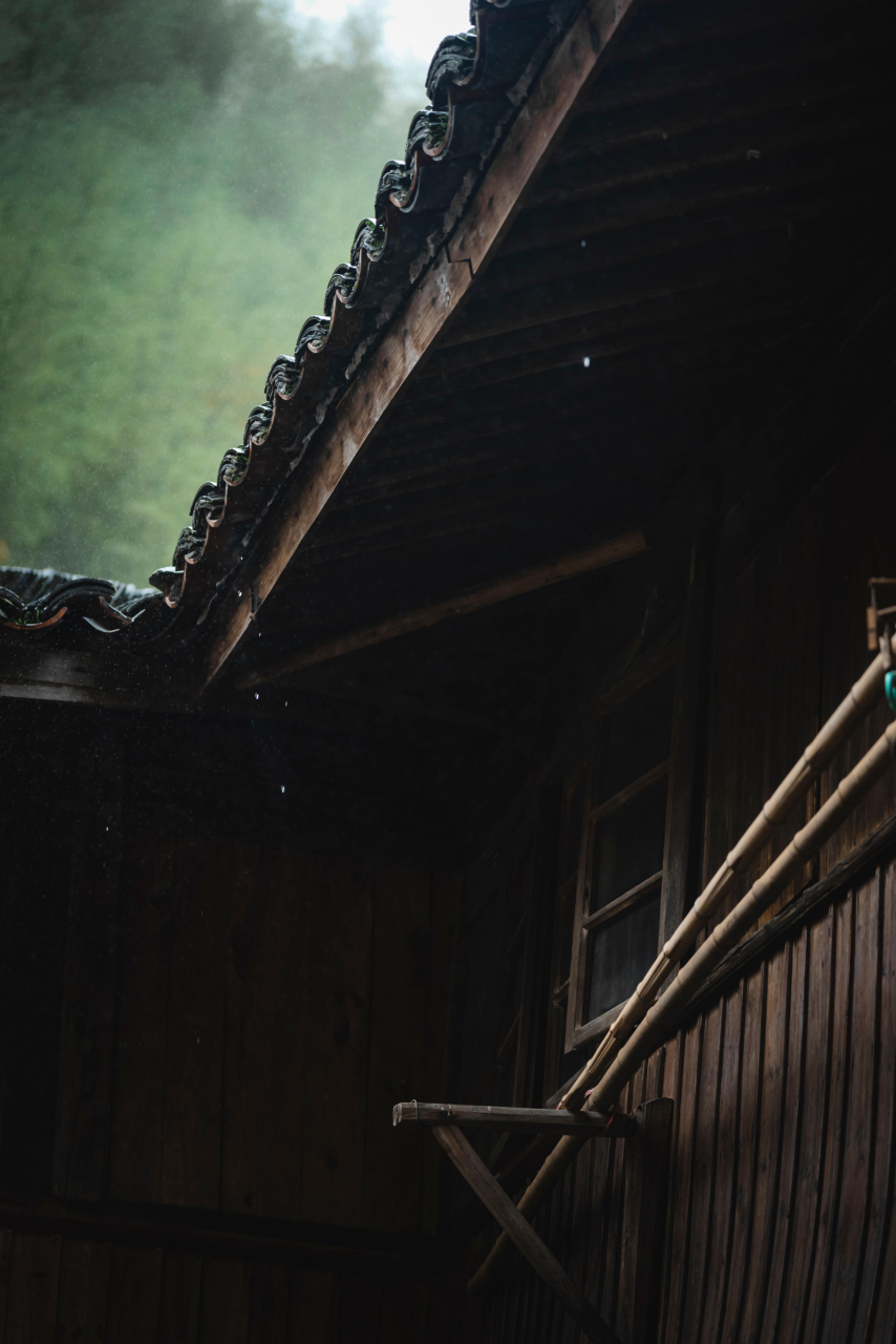 石舍村,一个幽静的文艺古村,位于杭州桐庐富春江镇,是桐庐最偏远的